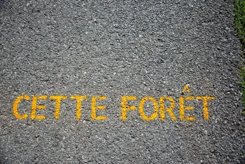 Les fenêtres qui parlent - Poésie dans la ville - 15