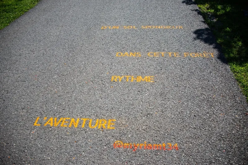 Les fenêtres qui parlent - Poésie dans la ville - 17