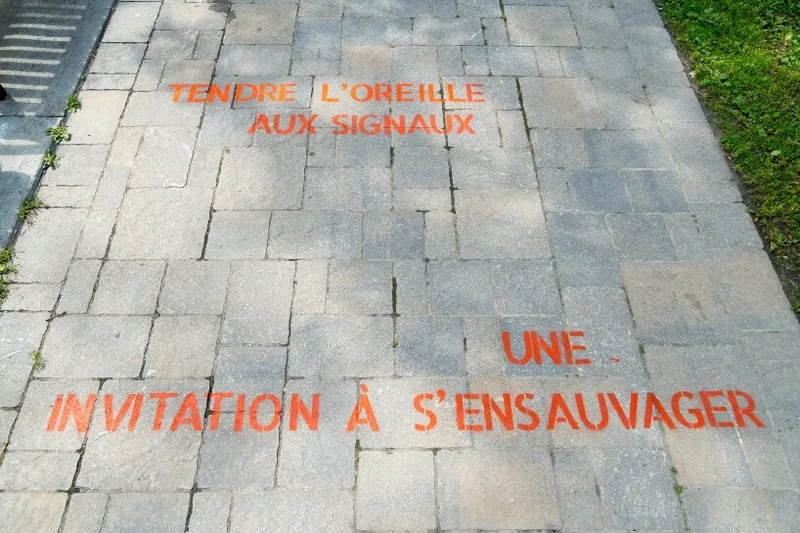 Les fenêtres qui parlent - Poésie dans la ville - 5