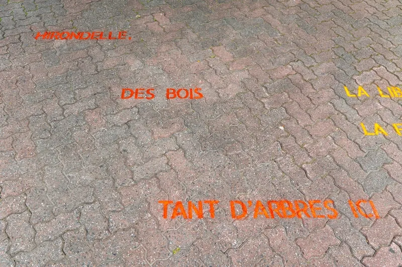 Les fenêtres qui parlent - Poésie dans la ville - 7