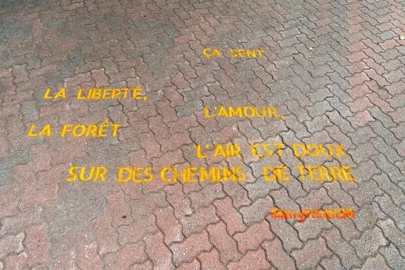 Les fenêtres qui parlent - Poésie dans la ville - 8