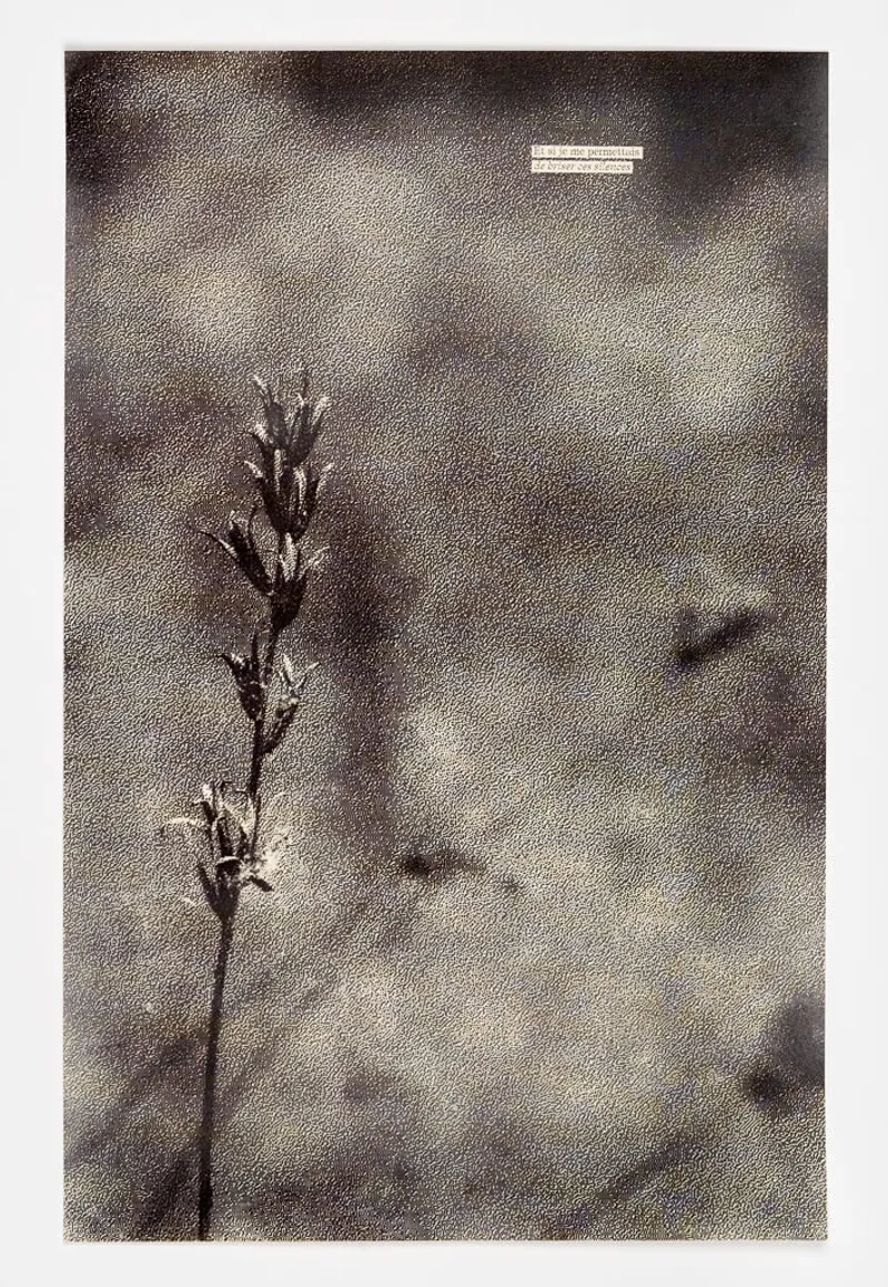 Fanzine «Et si je me permettais de briser ces silences» - 6