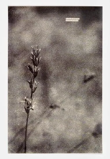 Affiche de l'exposition