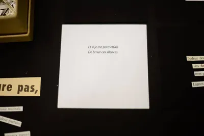 Interventions poétiques- Pour beaucoup d'obscurité quelques éclats