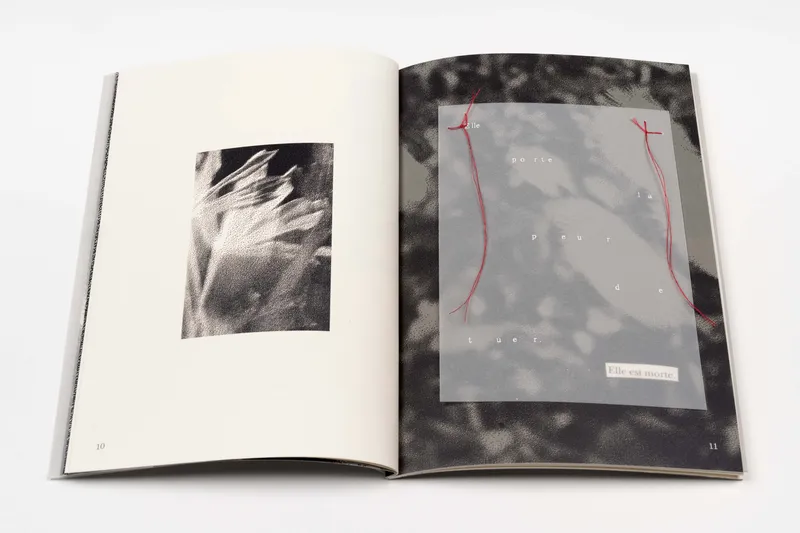Livre d’artiste "Et si je me permettais de briser ces silences" - 5