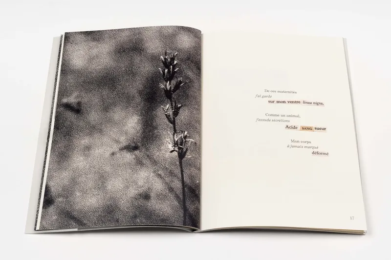 Livre d’artiste "Et si je me permettais de briser ces silences" - 7